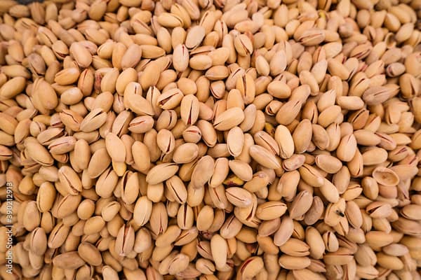 تصویر 1 از خرید پسته کله قوچی صادراتی + قیمت فروش استثنایی